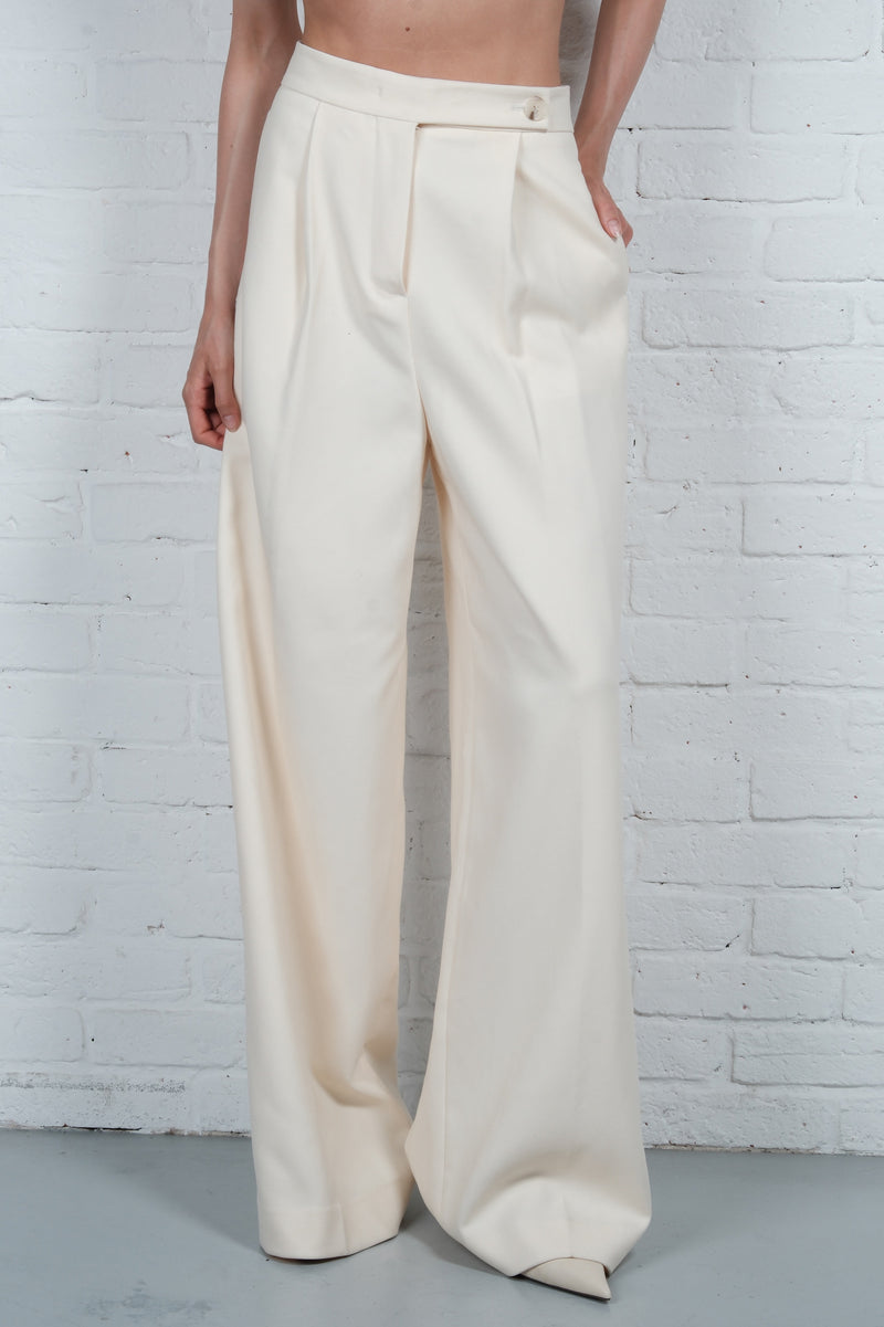 Wide Pleated Trousers
